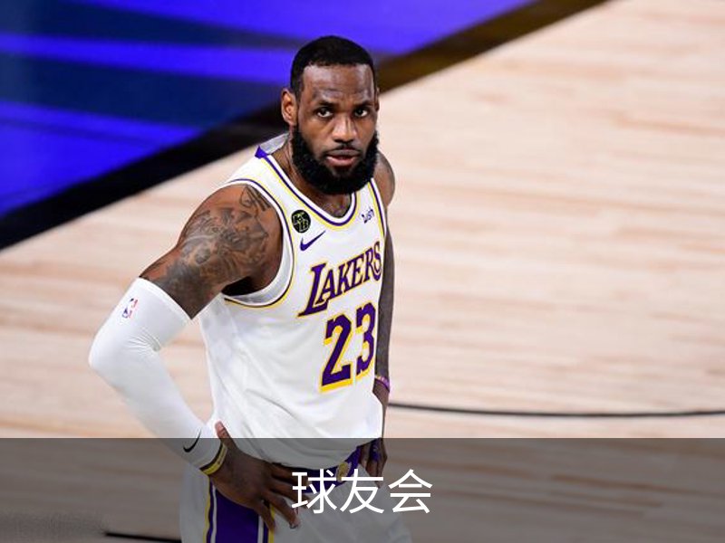 球友会概况